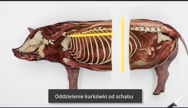 Pig Meat Processing Animation